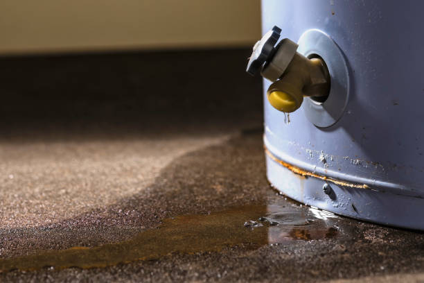 Best 24-hour water damage restoration  in Easton, PA