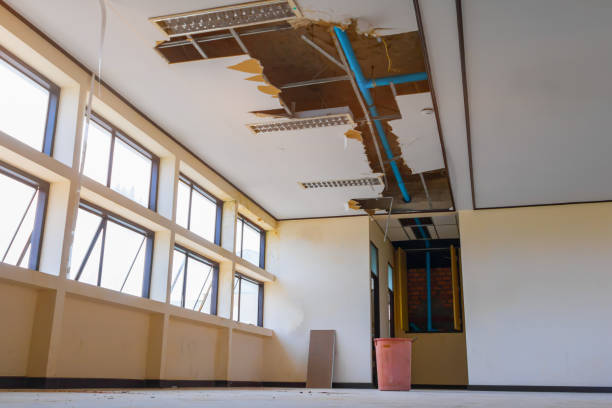 Best Flood restoration services  in Easton, PA