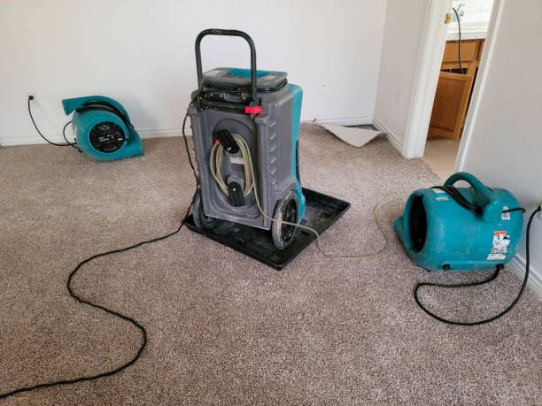 Best Water damage cleanup near me  in Easton, PA