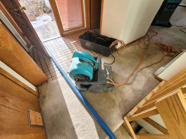 Best Residential water damage restoration  in Easton, PA