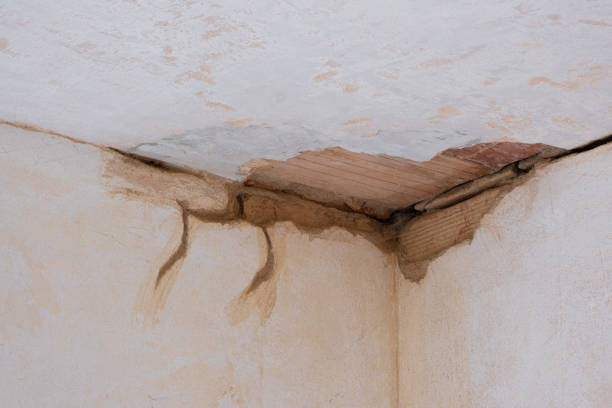 Best Water damage restoration near me  in Easton, PA