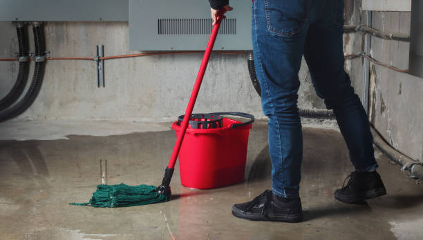Best Water damage contractors near me  in Easton, PA