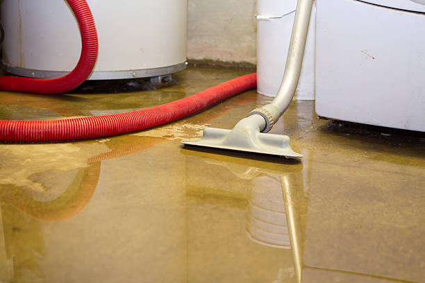 Best Water damage restoration cost  in Easton, PA