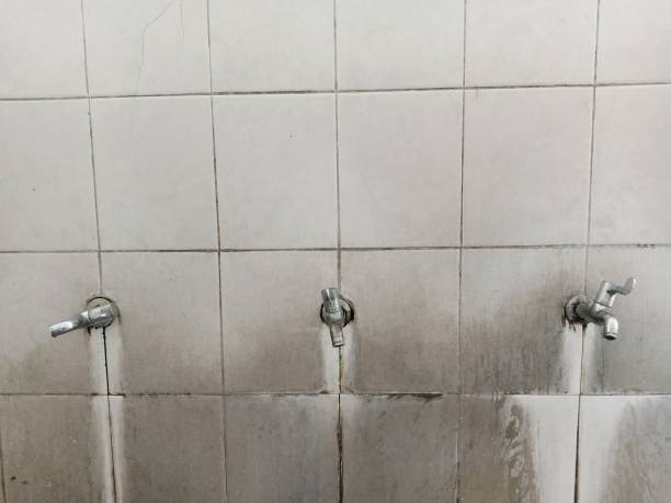 Best Mold removal after water damage  in Easton, PA