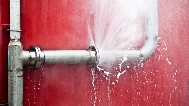 Best Flood restoration services  in Easton, PA